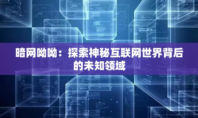 暗网呦呦：探索神秘互联网世界背后的未知领域