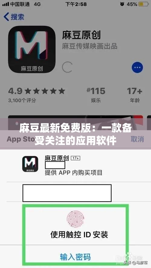 麻豆最新免费版：一款备受关注的应用软件