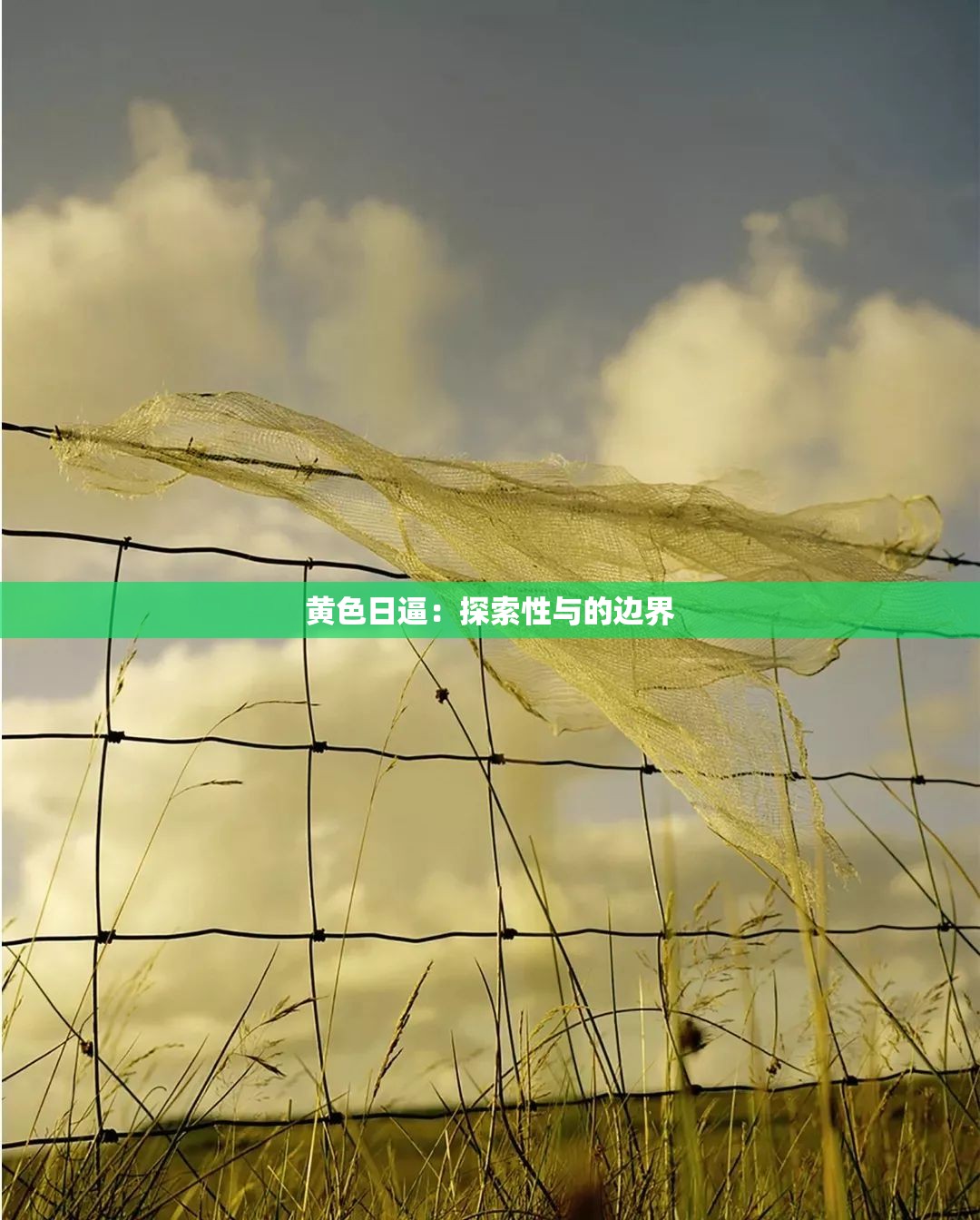 黄色日逼：探索性与的边界