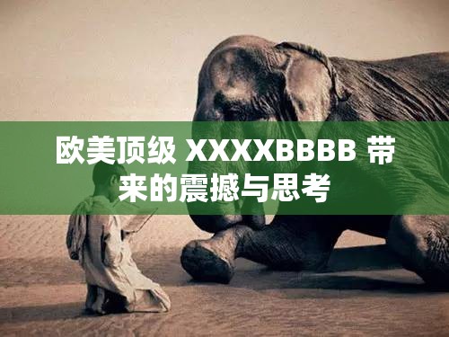 欧美顶级 XXXXBBBB 带来的震撼与思考
