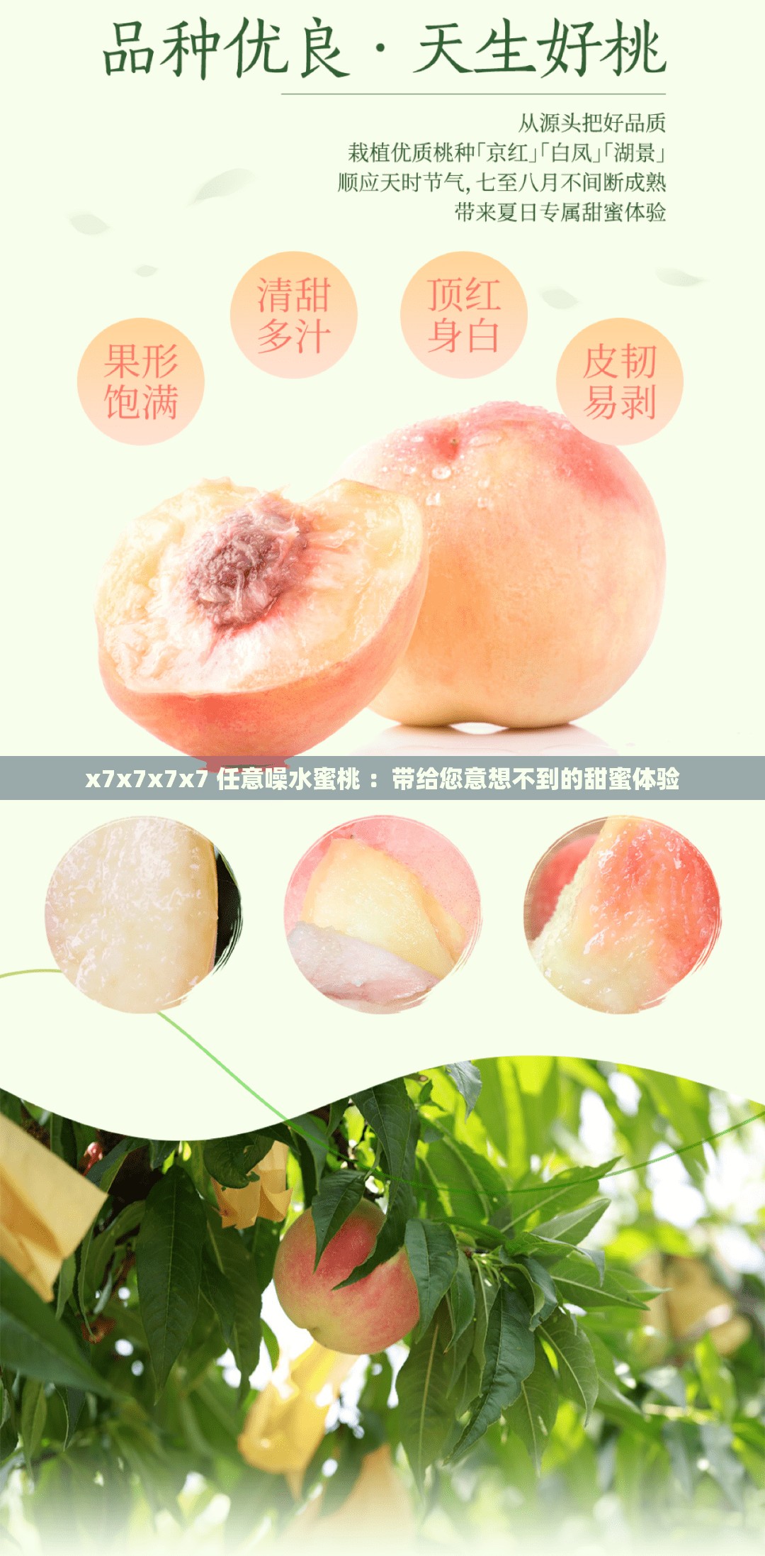 x7x7x7x7 任意噪水蜜桃 ：带给您意想不到的甜蜜体验
