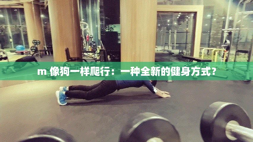 m 像狗一样爬行：一种全新的健身方式？