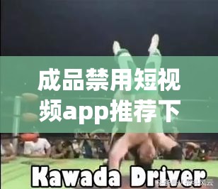 成品禁用短视频app推荐下载：深入了解其被禁缘由