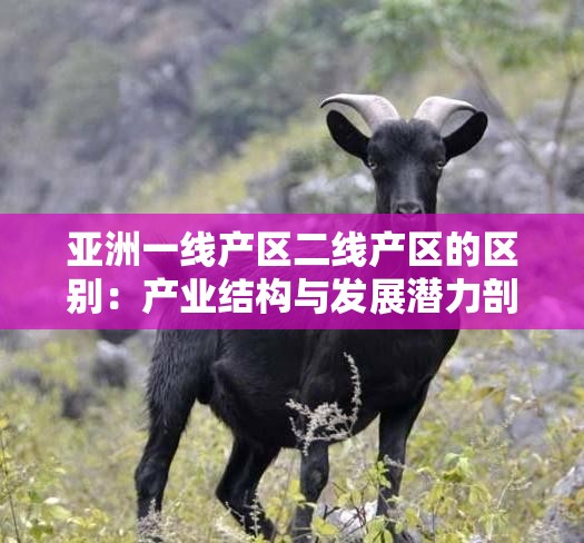 亚洲一线产区二线产区的区别：产业结构与发展潜力剖析