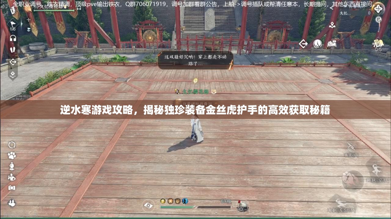 逆水寒游戏攻略，揭秘独珍装备金丝虎护手的高效获取秘籍
