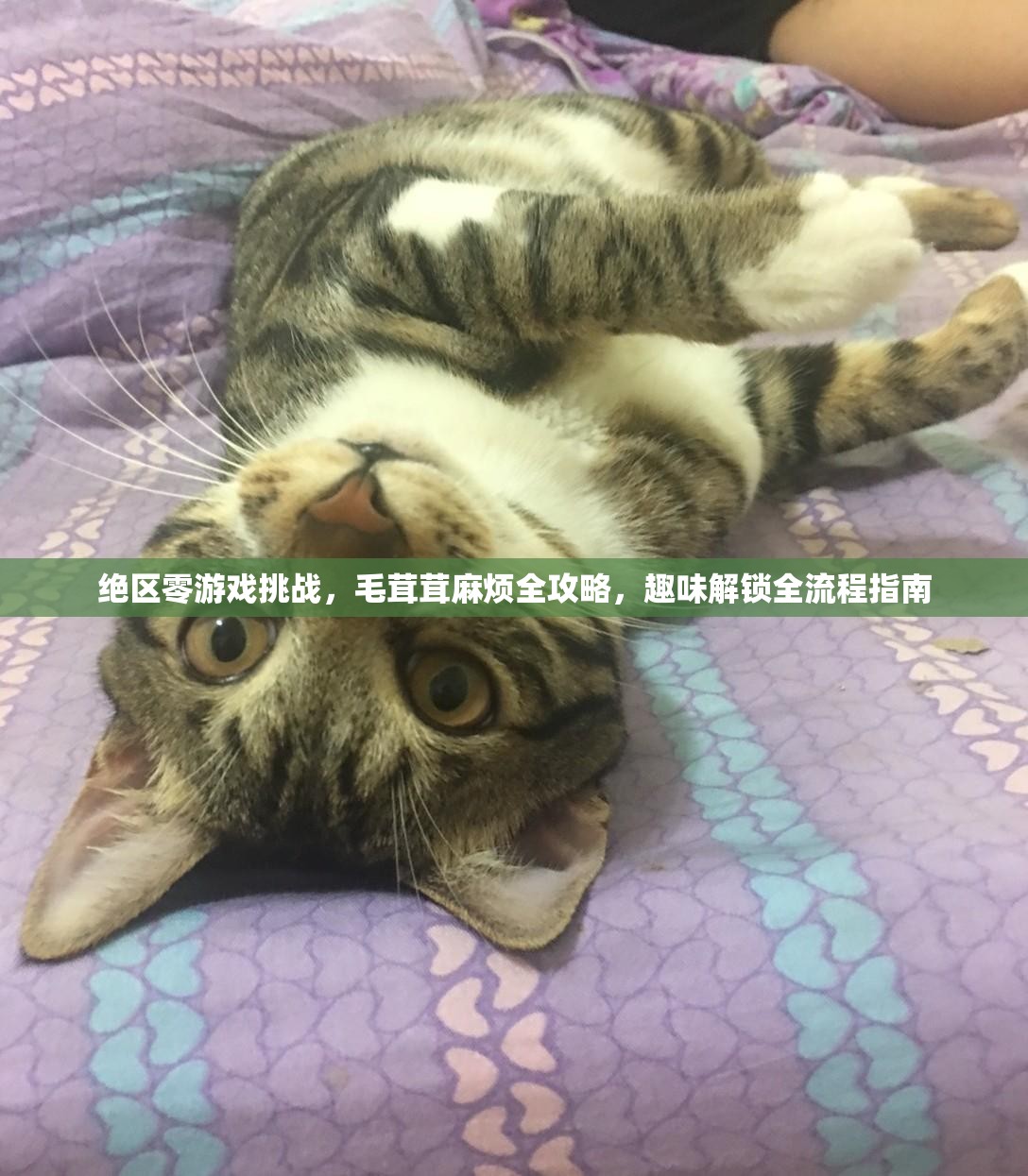 绝区零游戏挑战，毛茸茸麻烦全攻略，趣味解锁全流程指南