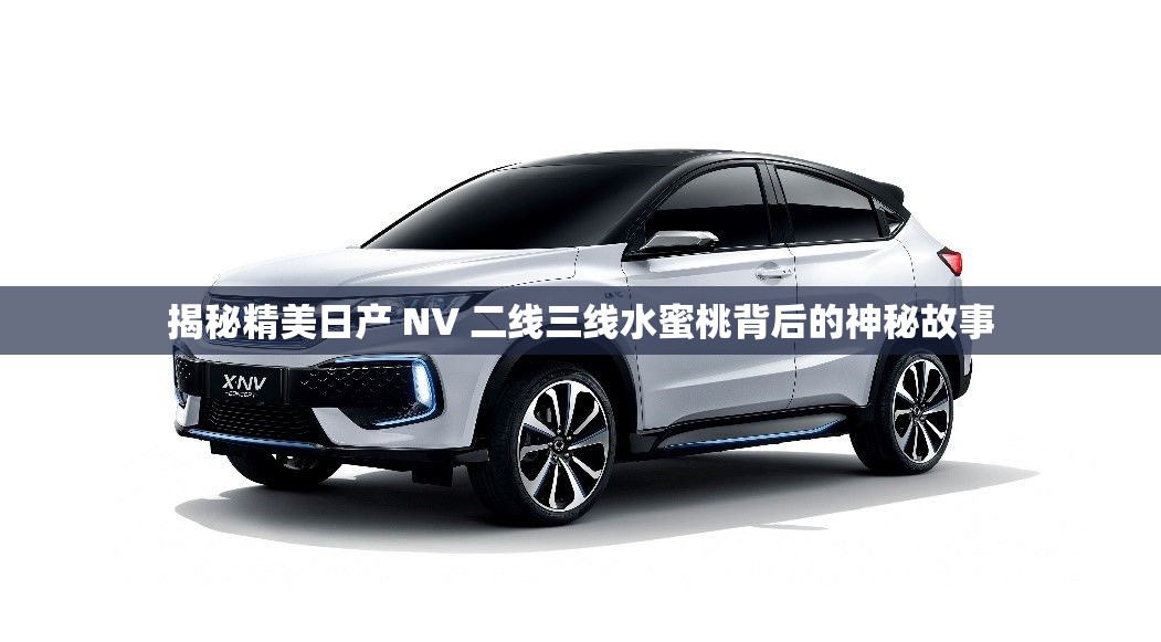 揭秘精美日产 NV 二线三线水蜜桃背后的神秘故事