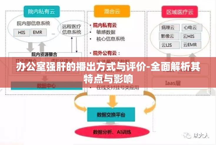 办公室强肝的播出方式与评价-全面解析其特点与影响