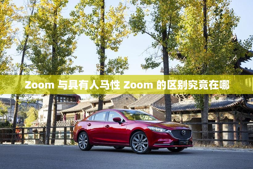 Zoom 与具有人马性 Zoom 的区别究竟在哪