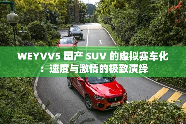 WEYVV5 国产 SUV 的虚拟赛车化：速度与激情的极致演绎