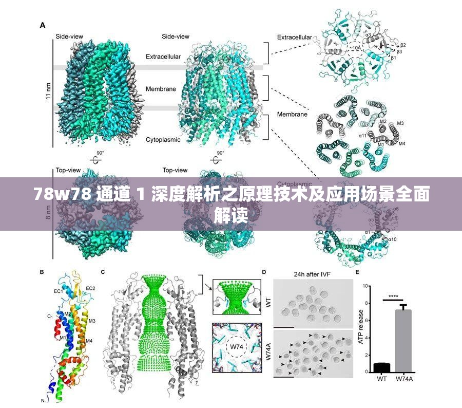 78w78 通道 1 深度解析之原理技术及应用场景全面解读