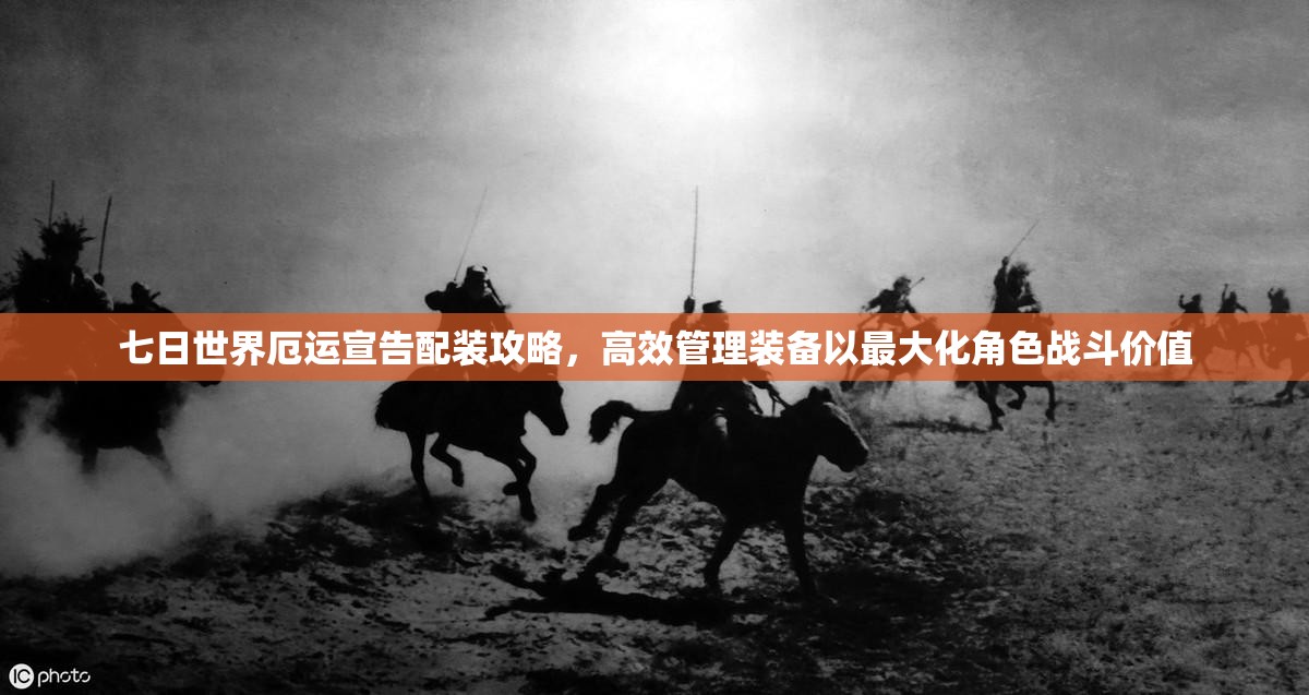 七日世界厄运宣告配装攻略，高效管理装备以最大化角色战斗价值