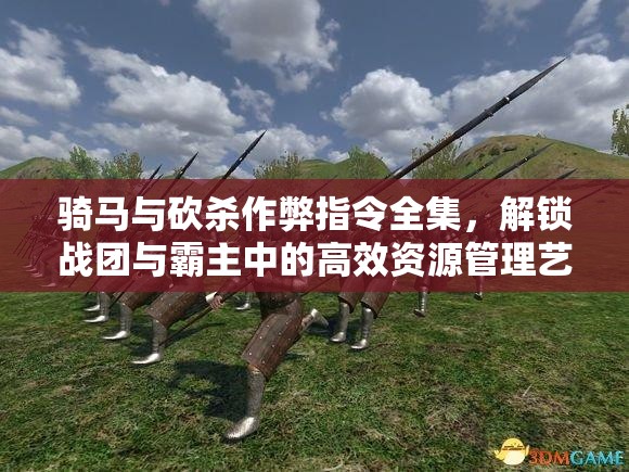 骑马与砍杀作弊指令全集，解锁战团与霸主中的高效资源管理艺术