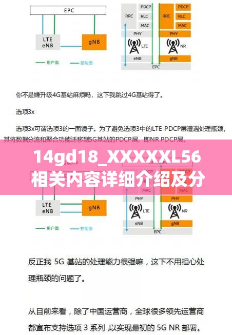 14gd18_XXXXXL56 相关内容详细介绍及分析