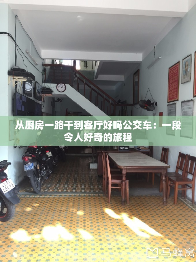 从厨房一路干到客厅好吗公交车：一段令人好奇的旅程