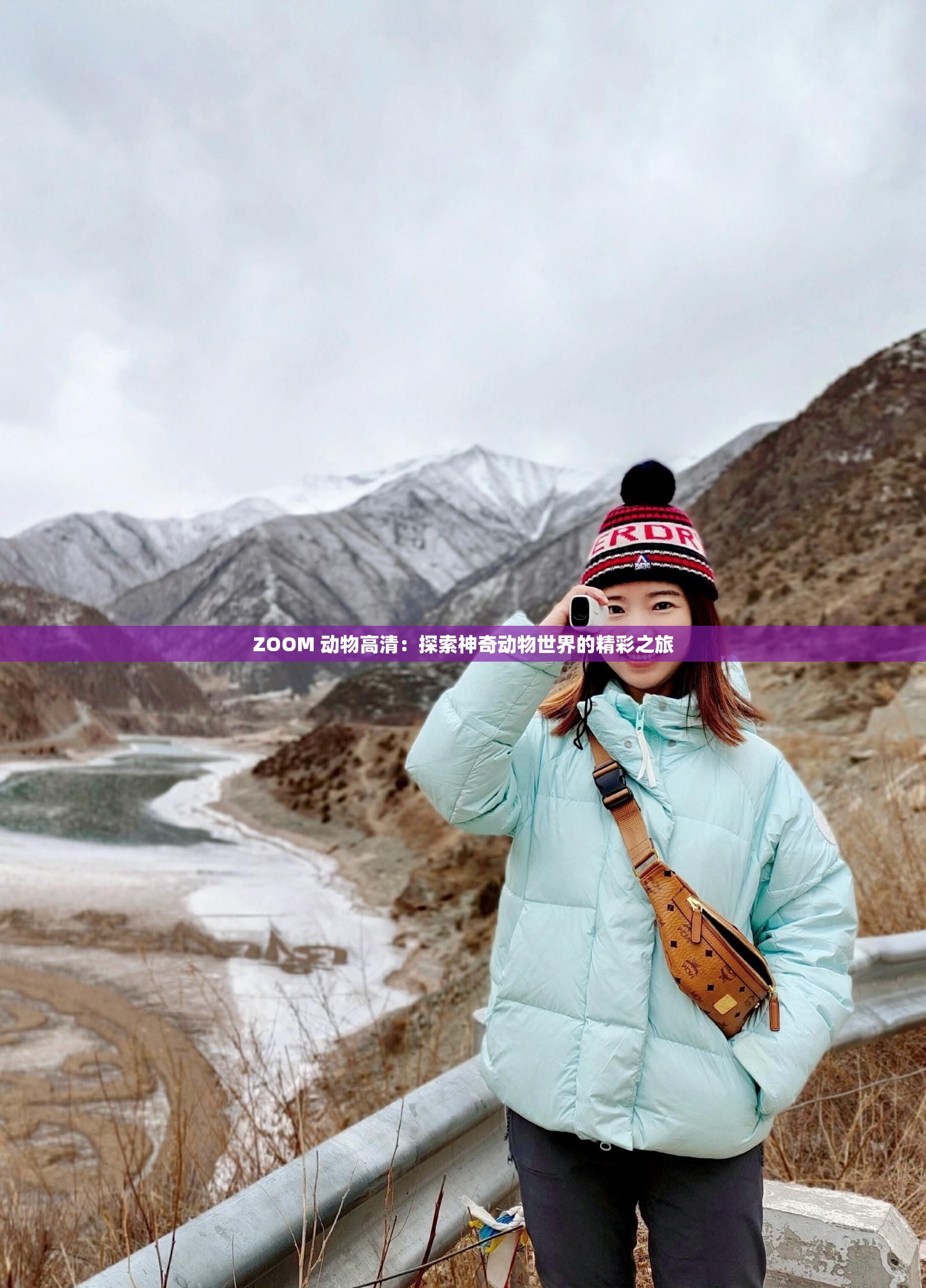 ZOOM 动物高清：探索神奇动物世界的精彩之旅