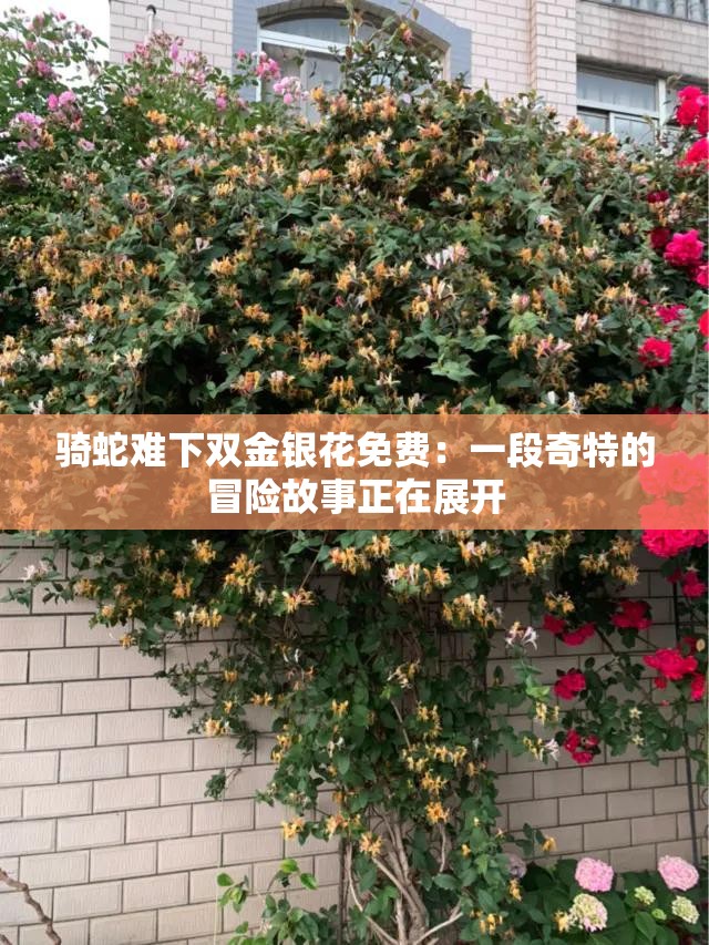 骑蛇难下双金银花免费：一段奇特的冒险故事正在展开