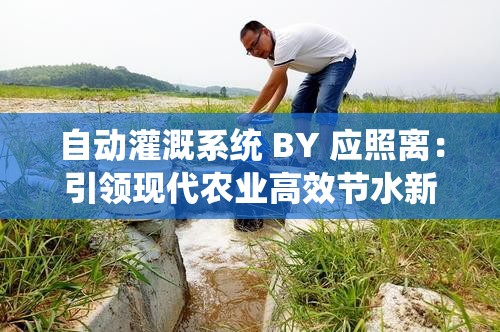 自动灌溉系统 BY 应照离：引领现代农业高效节水新潮流