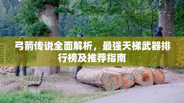 弓箭传说全面解析，最强天梯武器排行榜及推荐指南