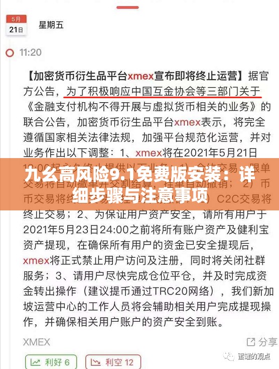 九幺高风险9.1免费版安装：详细步骤与注意事项