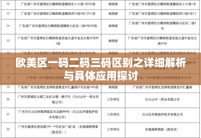 欧美区一码二码三码区别之详细解析与具体应用探讨