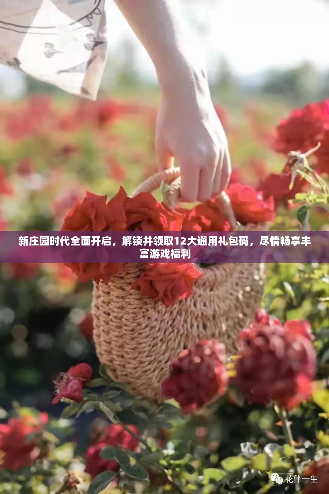 新庄园时代全面开启，解锁并领取12大通用礼包码，尽情畅享丰富游戏福利