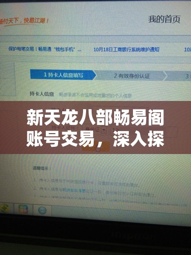 新天龙八部畅易阁账号交易，深入探讨时间限制与交易可靠性问题