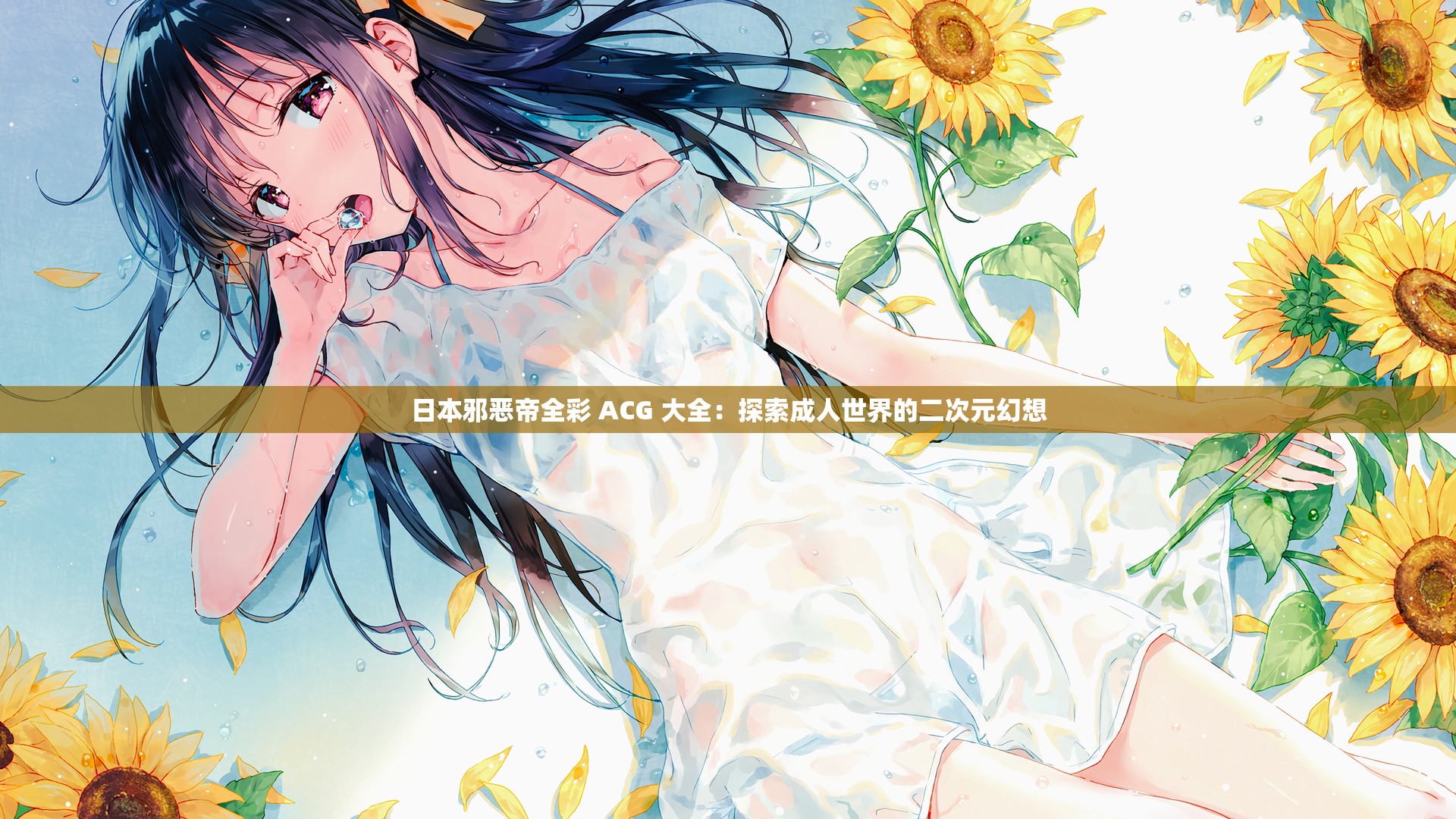 日本邪恶帝全彩 ACG 大全：探索成人世界的二次元幻想