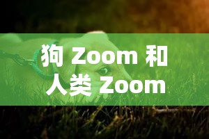 狗 Zoom 和人类 Zoom 哪个好：深度剖析二者差异与优劣