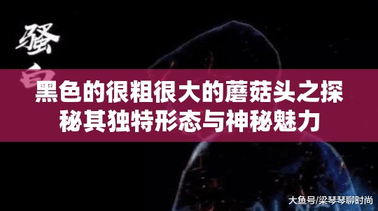 黑色的很粗很大的蘑菇头之探秘其独特形态与神秘魅力