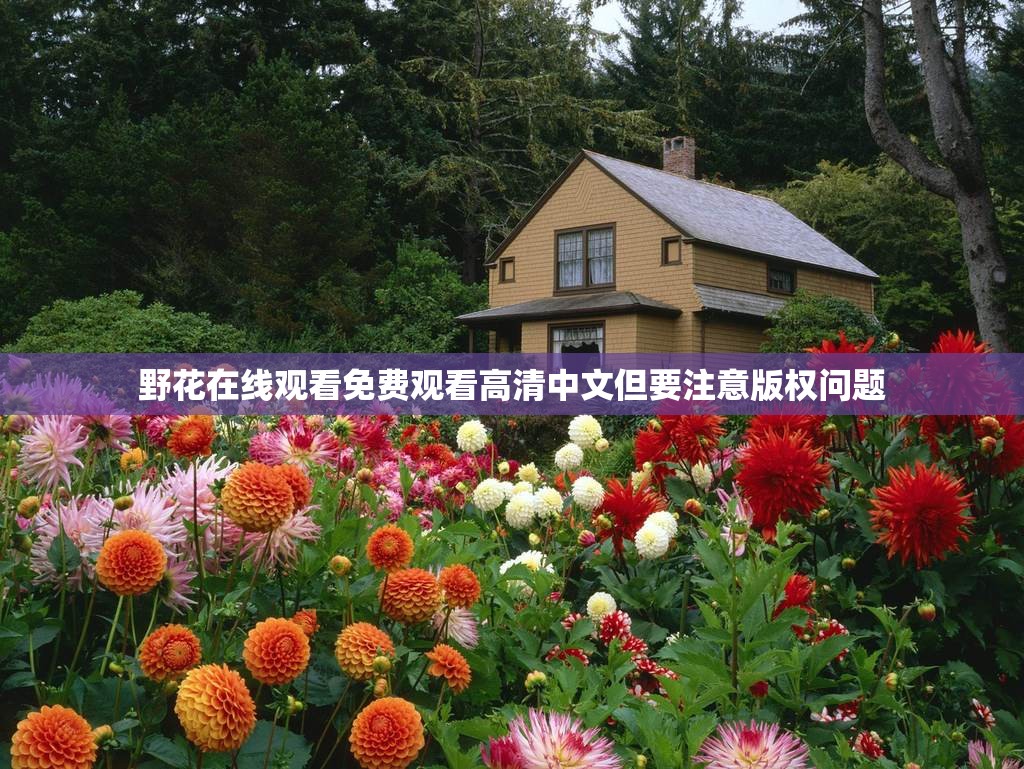 野花在线观看免费观看高清中文但要注意版权问题