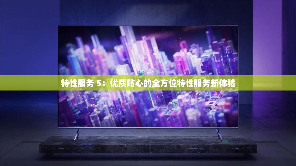 特性服务 5：优质贴心的全方位特性服务新体验