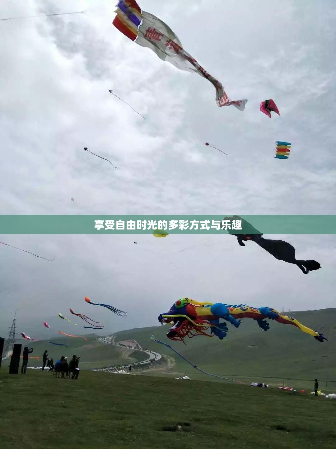 享受自由时光的多彩方式与乐趣