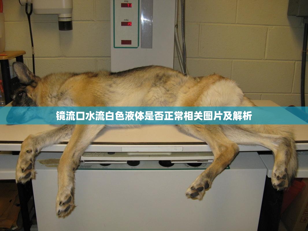 镜流口水流白色液体是否正常相关图片及解析