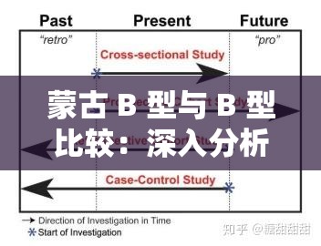 蒙古 B 型与 B 型比较：深入分析两者差异