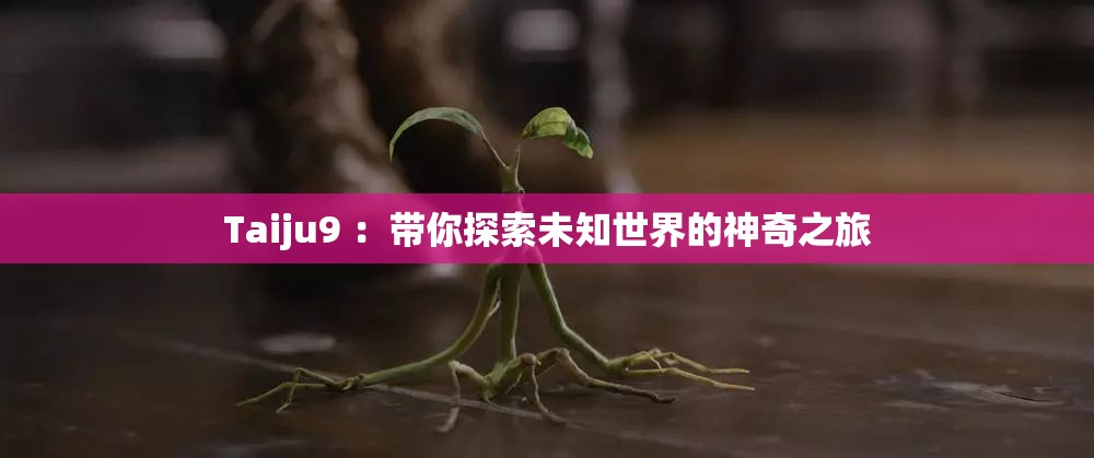 Taiju9 ：带你探索未知世界的神奇之旅