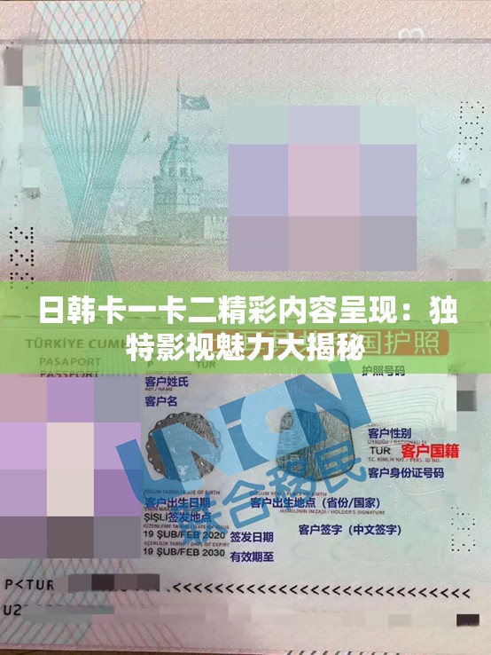 日韩卡一卡二精彩内容呈现：独特影视魅力大揭秘