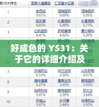 好成色的 YS31：关于它的详细介绍及独特优势分析