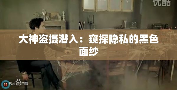 大神盗摄潜入：窥探隐私的黑色面纱