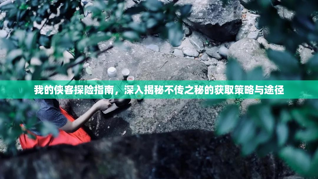 我的侠客探险指南，深入揭秘不传之秘的获取策略与途径