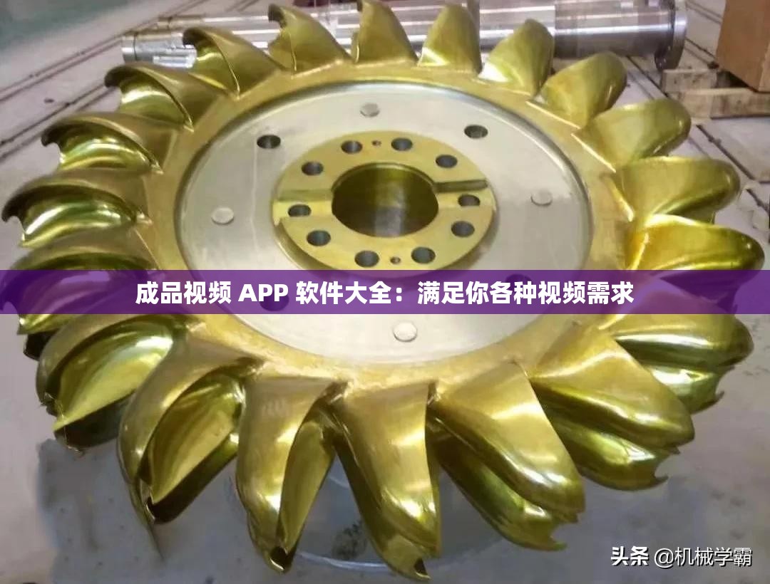 成品视频 APP 软件大全：满足你各种视频需求