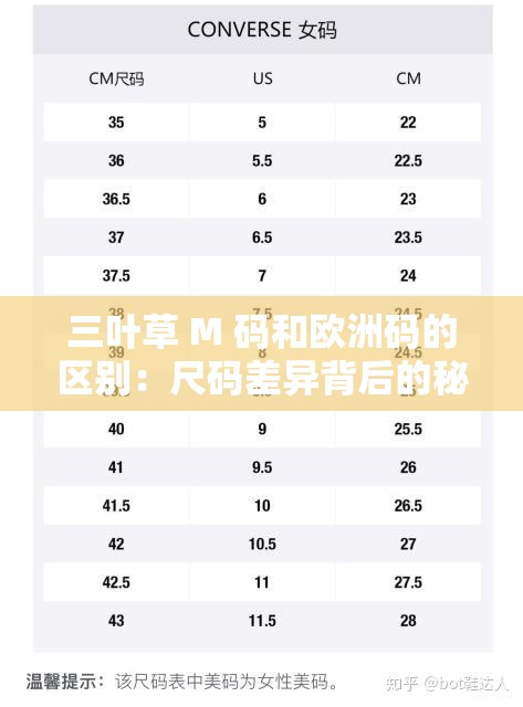 三叶草 M 码和欧洲码的区别：尺码差异背后的秘密解析
