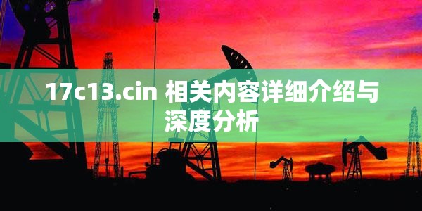 17c13.cin 相关内容详细介绍与深度分析
