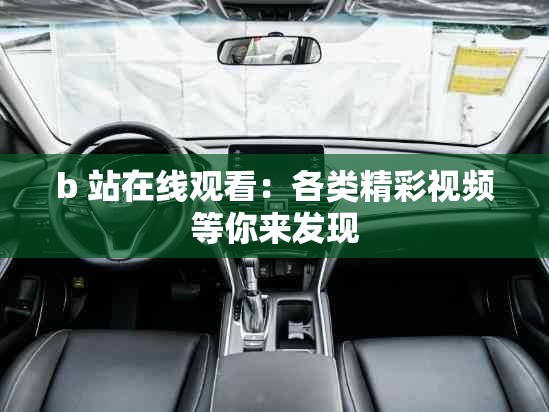 b 站在线观看：各类精彩视频等你来发现