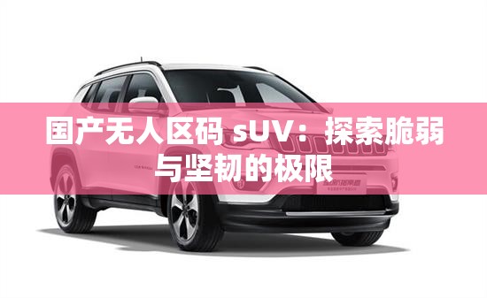 国产无人区码 sUV：探索脆弱与坚韧的极限