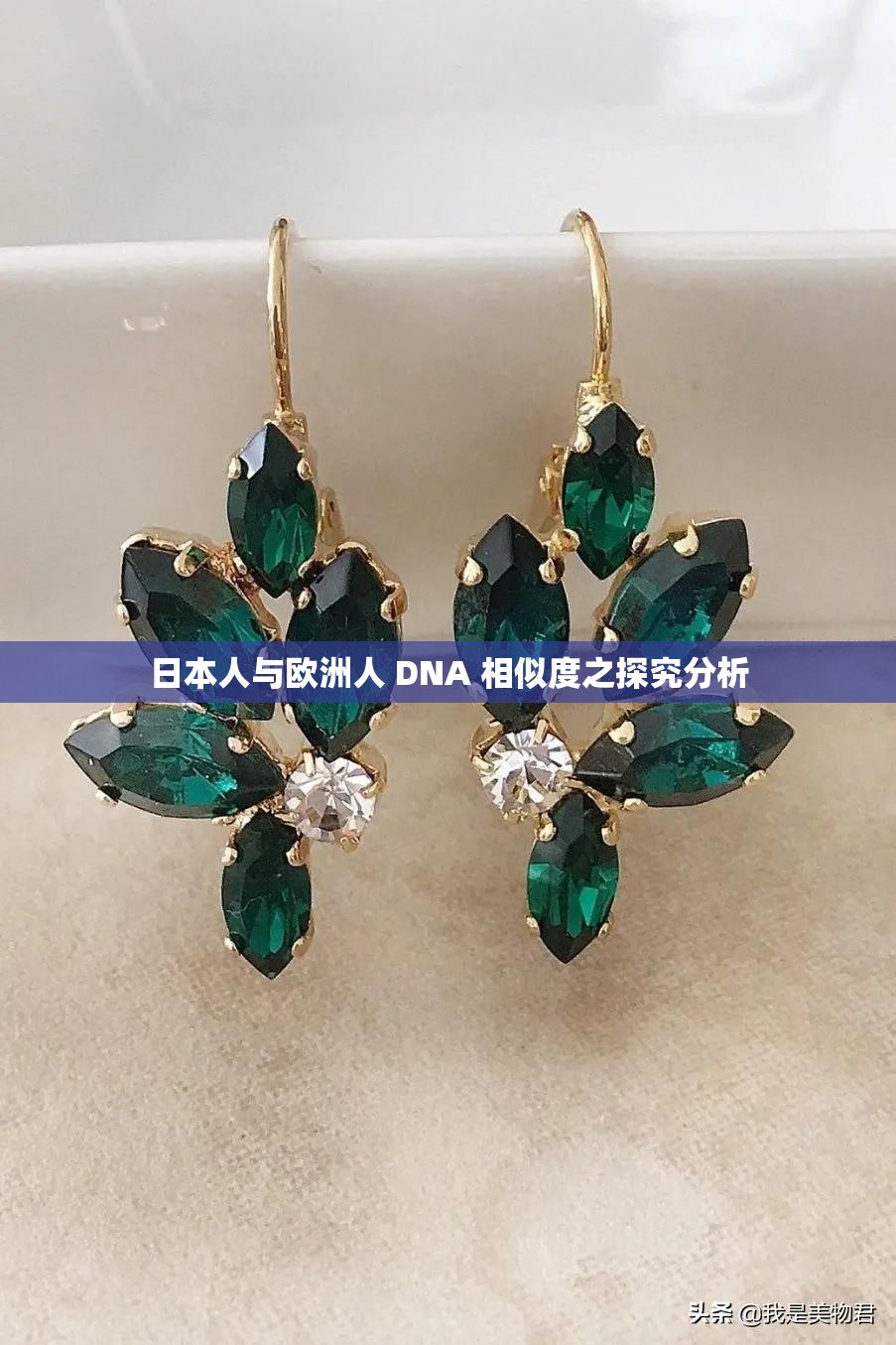 日本人与欧洲人 DNA 相似度之探究分析