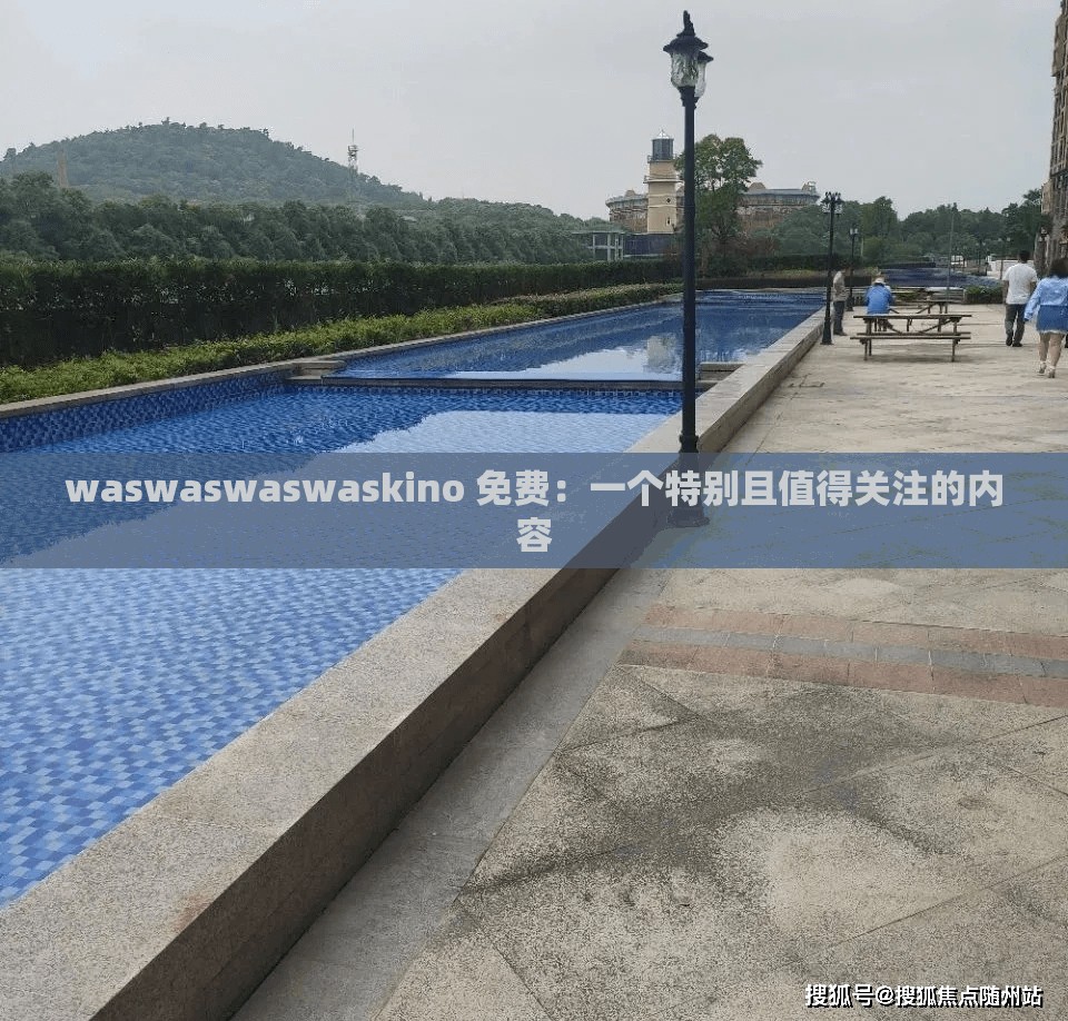 waswaswaswaskino 免费：一个特别且值得关注的内容