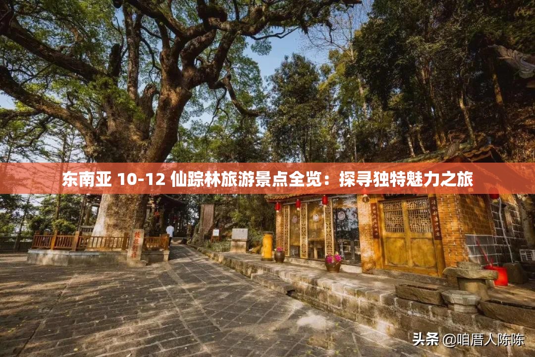 东南亚 10-12 仙踪林旅游景点全览：探寻独特魅力之旅