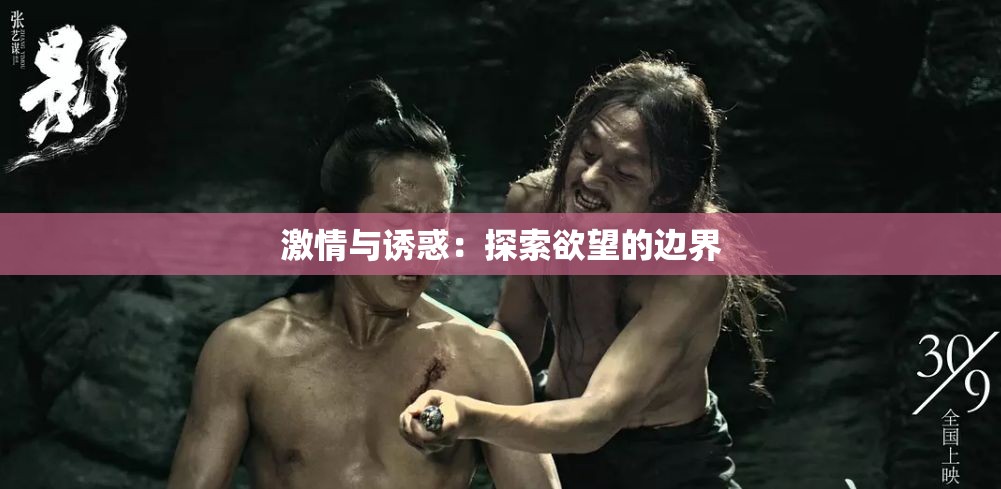 激情与诱惑：探索欲望的边界