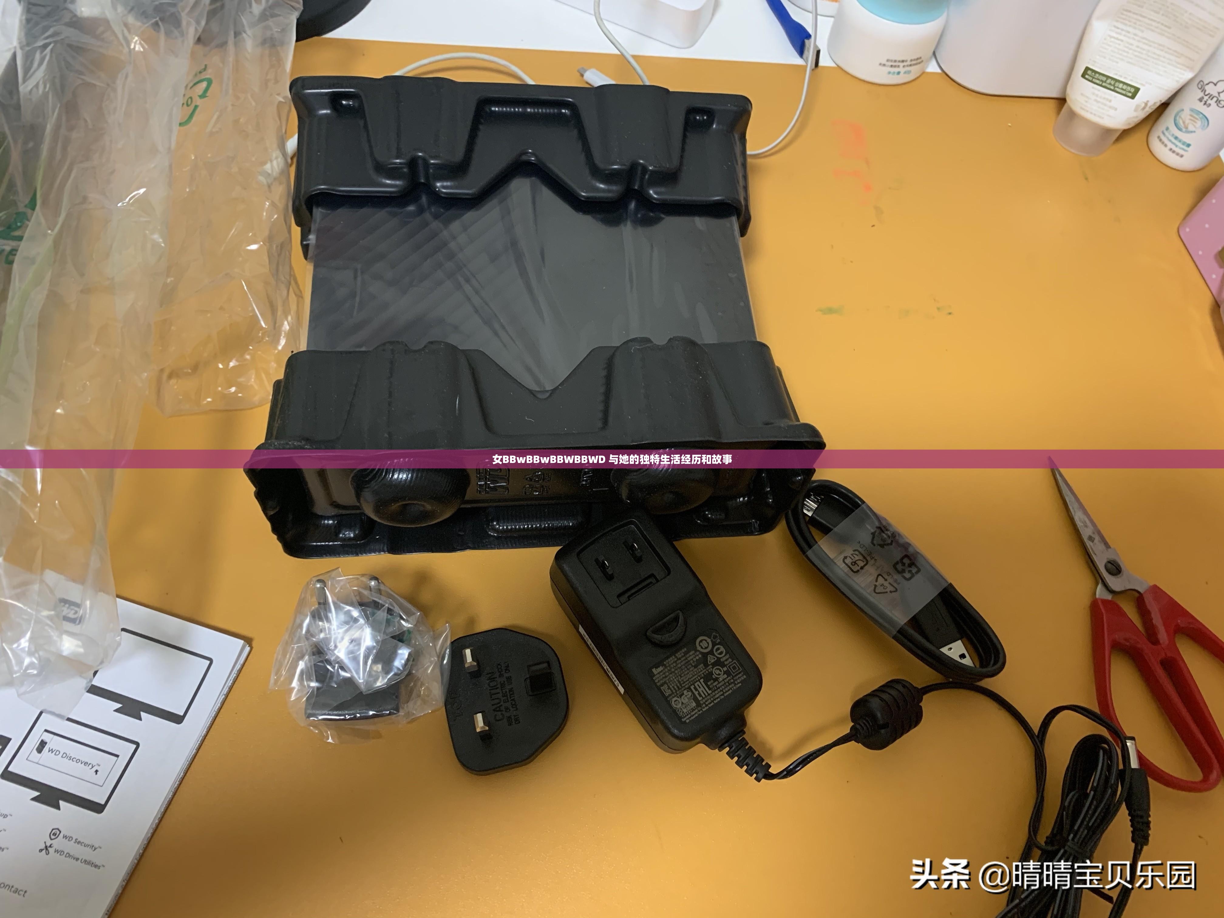 女BBwBBwBBWBBWD 与她的独特生活经历和故事